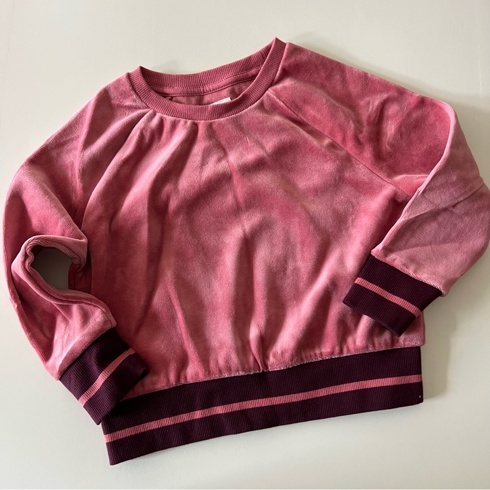 NWT Gymboree Velour top Size 4 (xs)